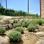 Birillo 1824 4* بودجيبونسي