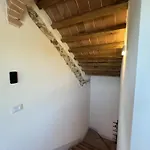 Birillo 1824 بيت ضيافة بودجيبونسي