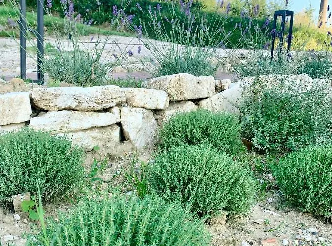 Birillo 1824 בית הארחה 3*