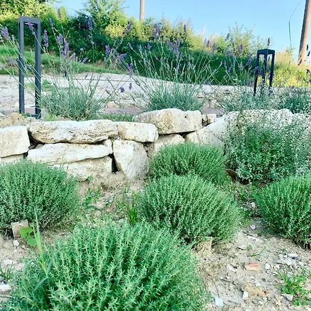 Birillo 1824 Pensión 3*